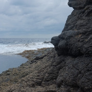 DSCF8601