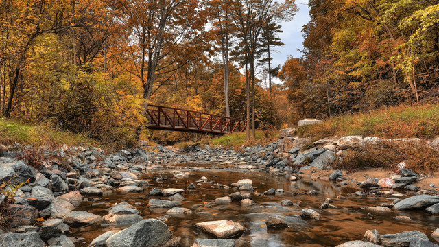 wp4610893-forest-river-wallpapers