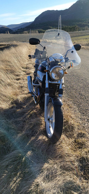 Guzzi-2