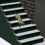 image025