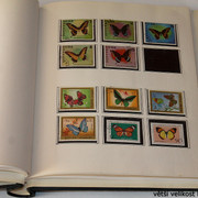 IMG-3962