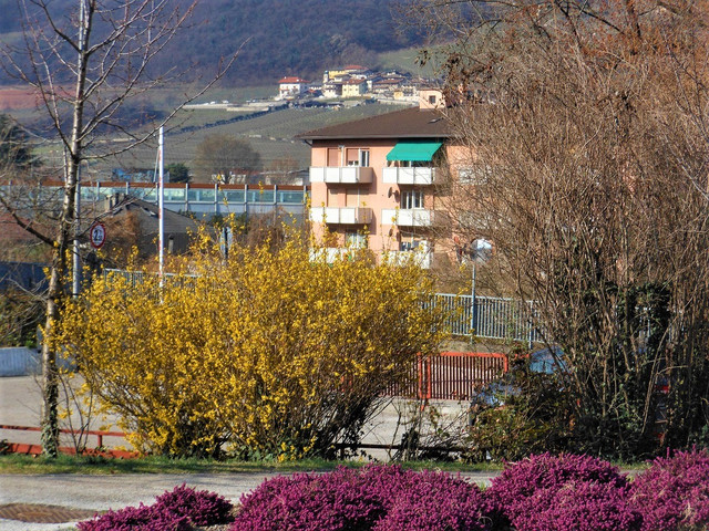 DSCN6348-2