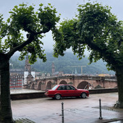 IMG-2992