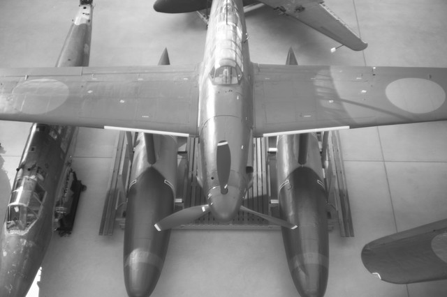 G1017737.jpg