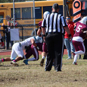 IMG-3315