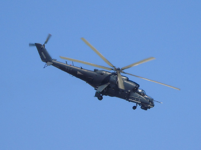 DSC02956-2.jpg