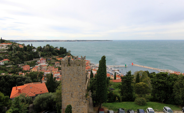 IMG-9787.jpg