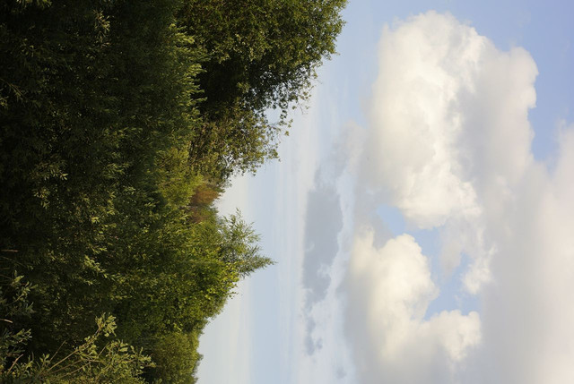 DSC5331-result.jpg