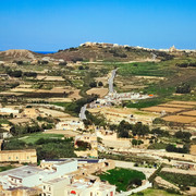 OLYMPUS-DIGITAL-CAMERA