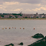 IMGP3150