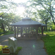 P1320131