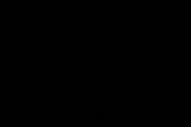 322A0674.jpg