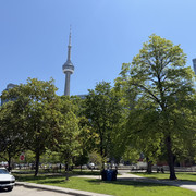 IMG 7174