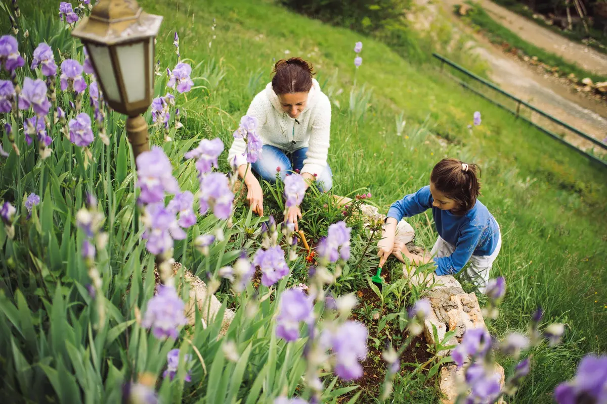 Secretul pentru a împărtăși bucuria din grădină: Plantele „părtășitoare