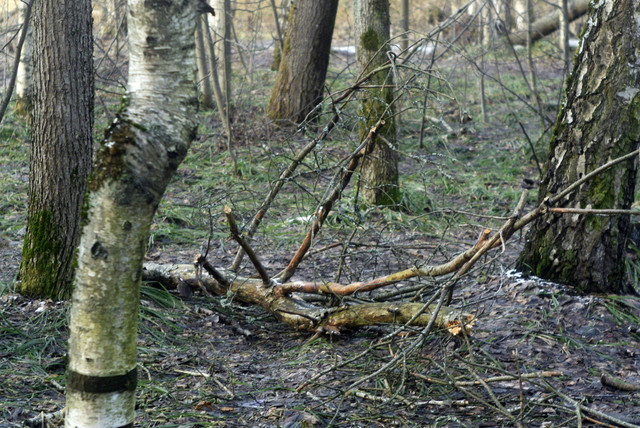 DSC8400.jpg