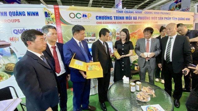 Ngoại giao kinh tế Việt Nam Lào nỗ lực đóng góp cho mục tiêu tăng giá trị thương mại song phương lên 2 tỷ USD