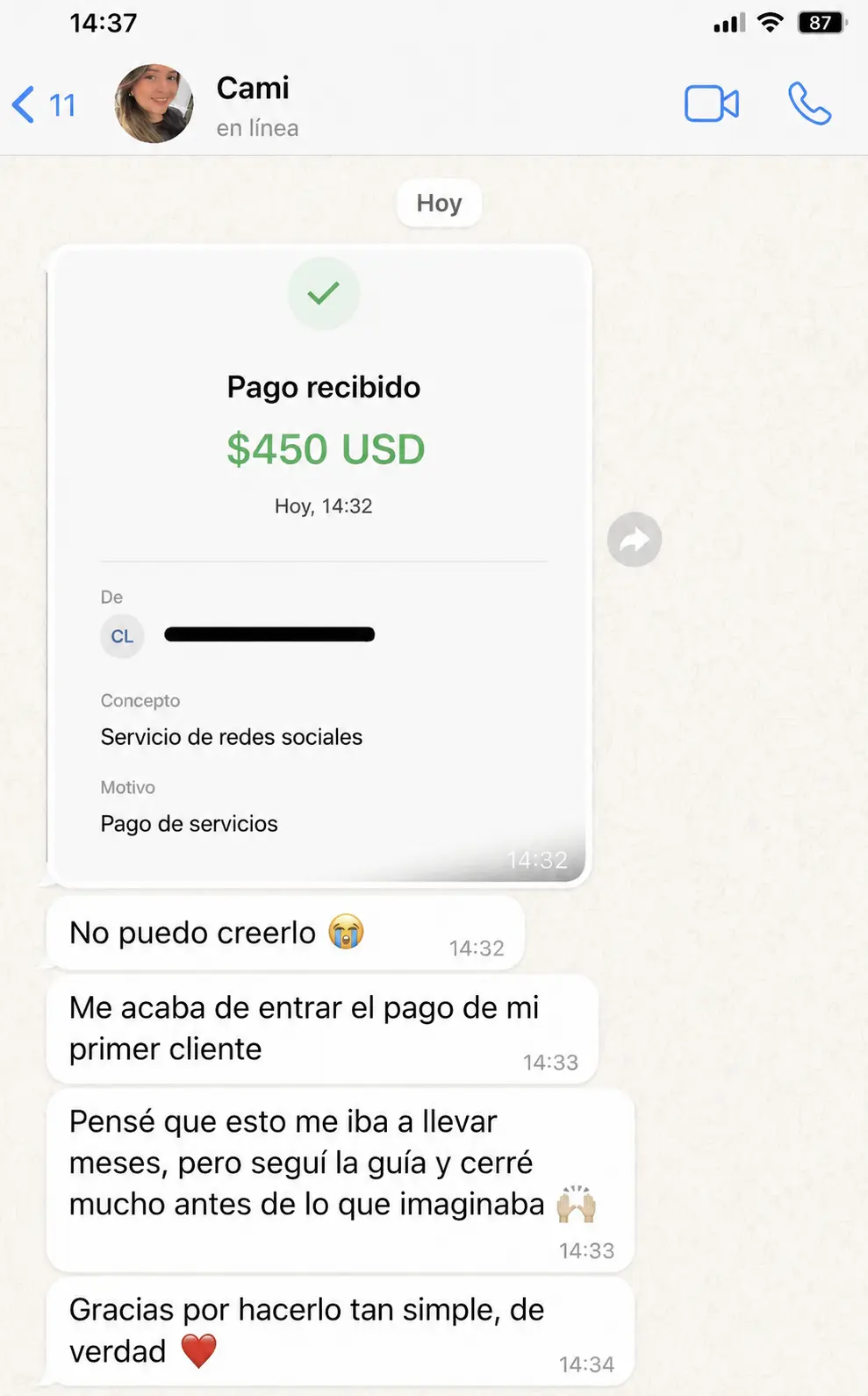 Prueba de pago 3