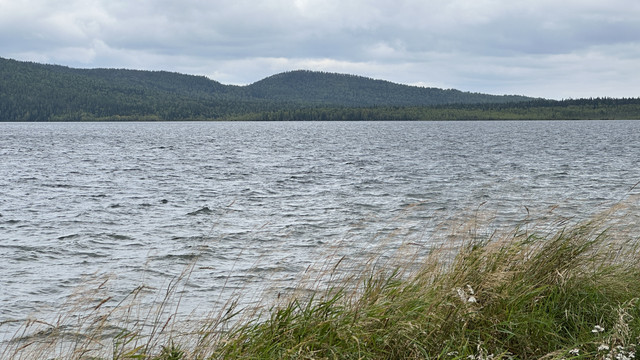 IMG 5719.jpg