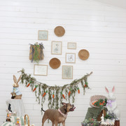 IMG-7246