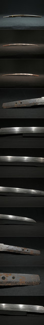 DSC3802