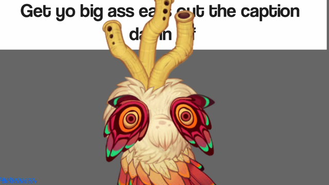 x 0000