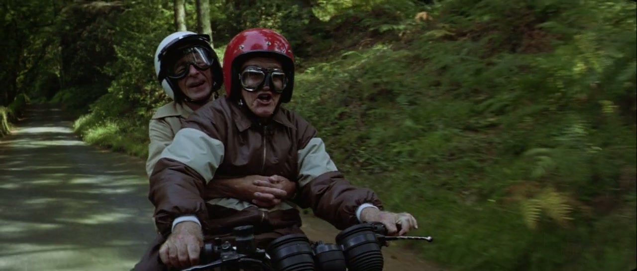 Waking Ned Devine Screenshot