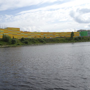 DSC06397-5