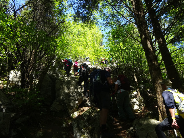 DSC04842.jpg