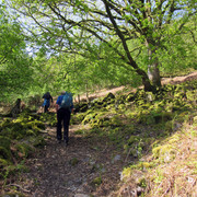C Llanwrthwl