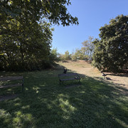 IMG 3190