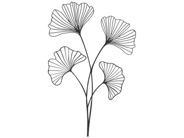 b41619374326b9c9fa90edcca9d4e9fa.gif