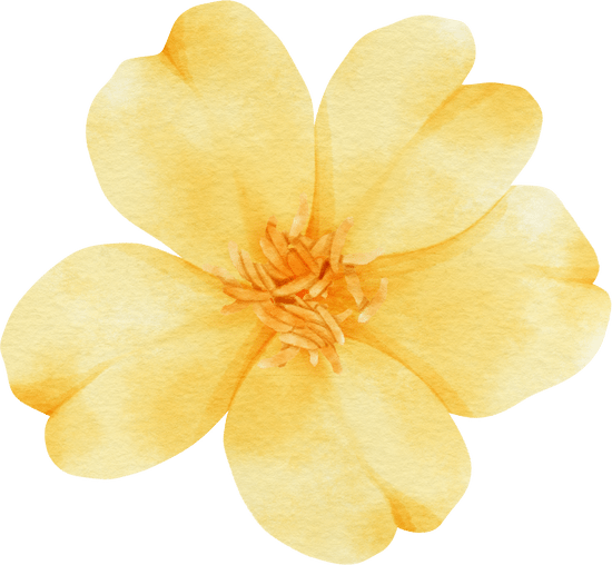 2d7df55076dd993a0b6ebf259ed87d3d.png