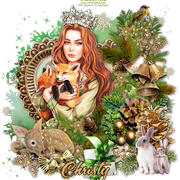 Christy 4974F