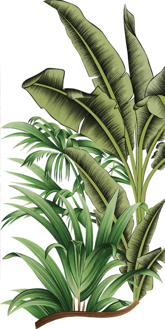 Tree-000000018.png