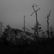DSC05705