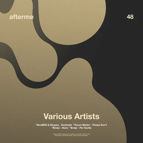 VA - [DAM48] Cover