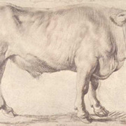 Bull около 1618 1620