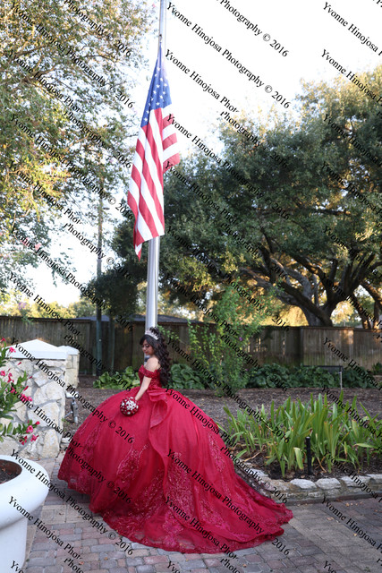 IMG 2585