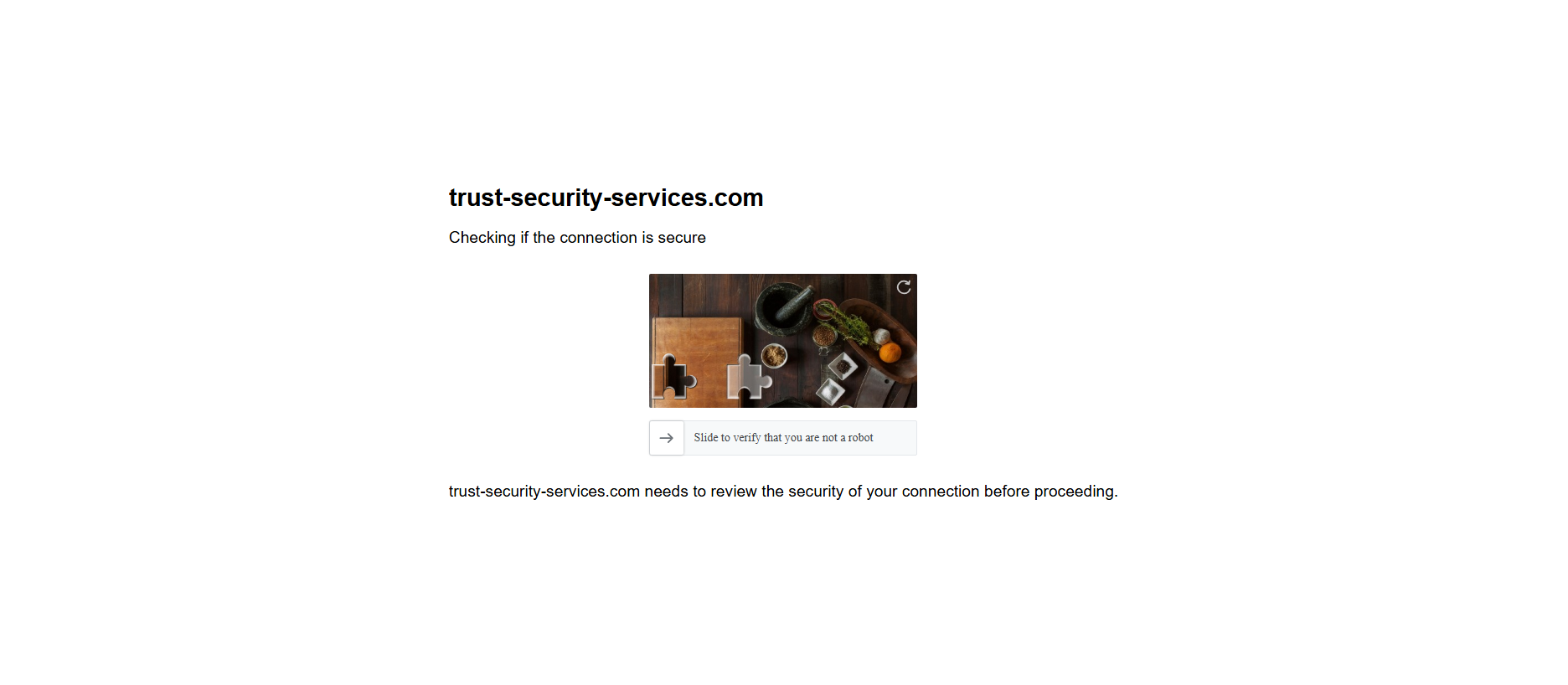 Stored capture of trust-security-services.com