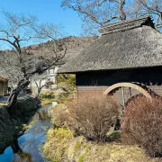 gallery Oshino Hakkai 02
