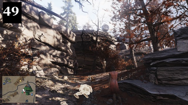 49.jpg