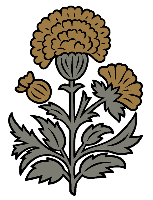 2ca1e433148c5de3c97db76d30a6f028.png