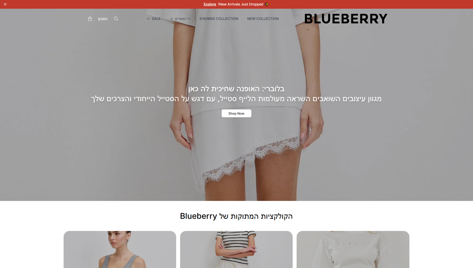 Stored capture of blueberryapparel.shop