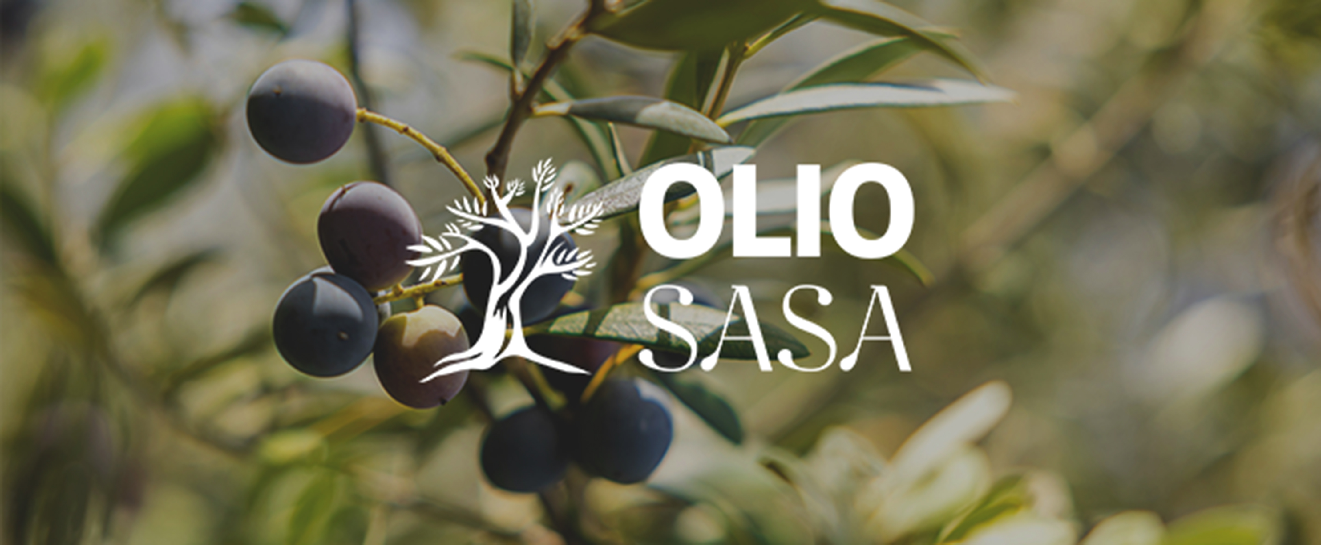 Projet Olio Sasa