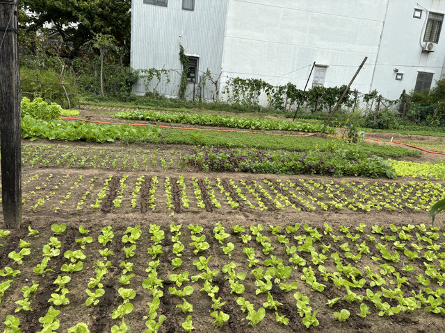 IMG-1341