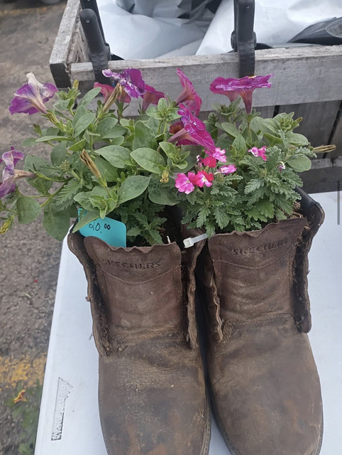 Morning setup at DJ's Fresh Market, Appleton Wisconsin