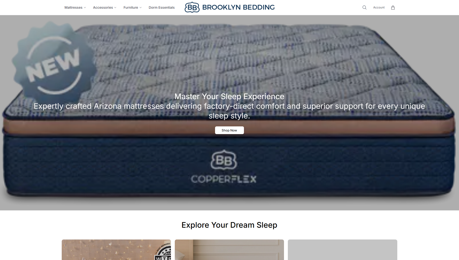 Primary capture · bkboutique.shop