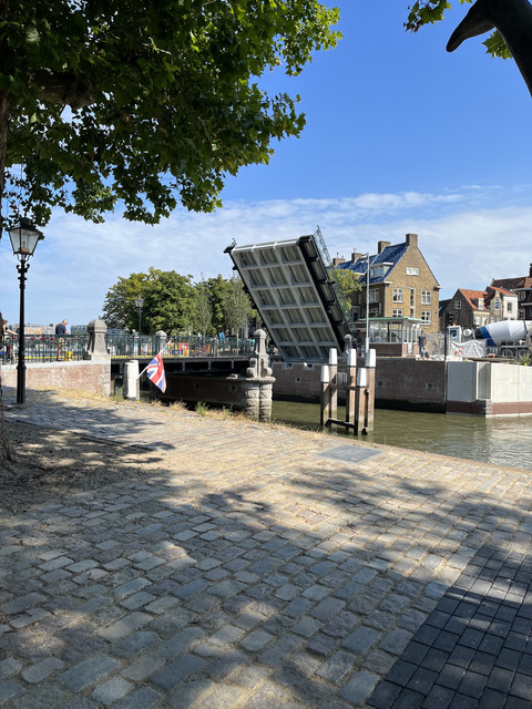 IMG-6587