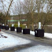 IMG-0369