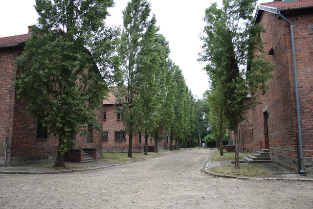 IMG-5797.jpg